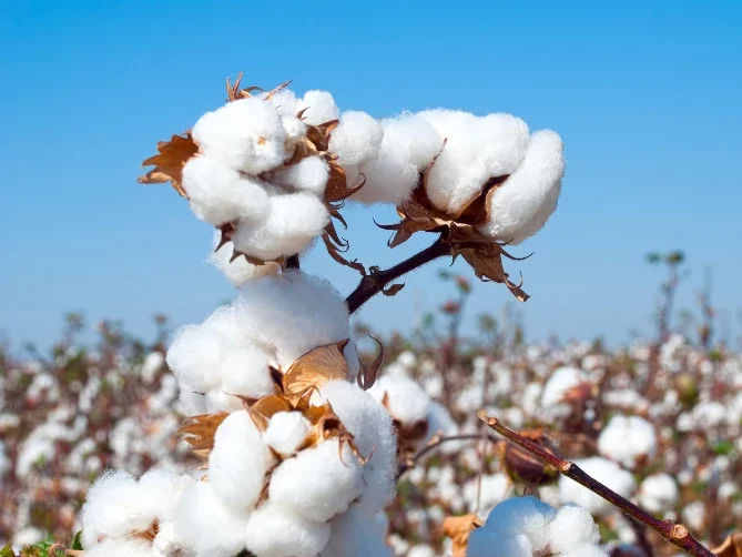 Better Color Performance