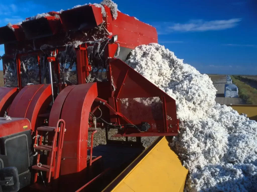 cotton harvesting machine