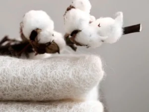 La culture et les applications du coton